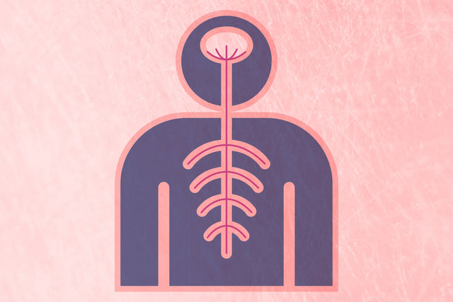 How The Vagus Nerve Positively Boosts Your Well-being